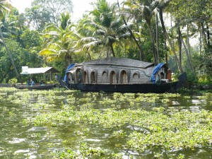 Backwaters Riceboat